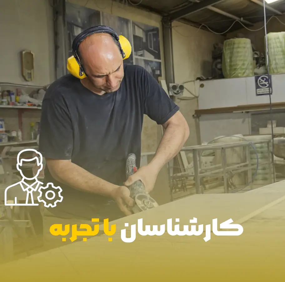 کارشناسان با تجربه زوکیا